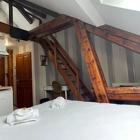 Studio 101 Dans Un 3 Etoiles Entierement Renove Albertville